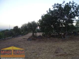 Terreno agricolo in vendita a camporotondo etneo via don bosco s.n.c.