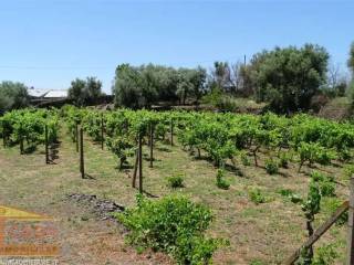 Terreno agricolo in vendita a belpasso via cairoli s.n.c.