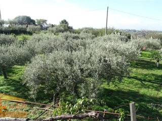 Terreno agricolo in vendita a camporotondo etneo via san domenico s.n.c.