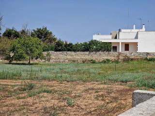 Terreno agricolo in vendita a ortelle via g. oberdan, 37