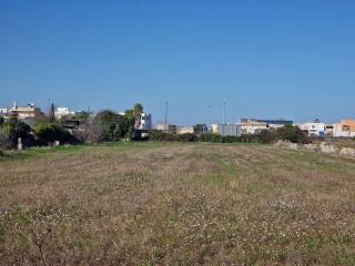 Terreno agricolo in vendita a poggiardo via machiavelli s.n.c.