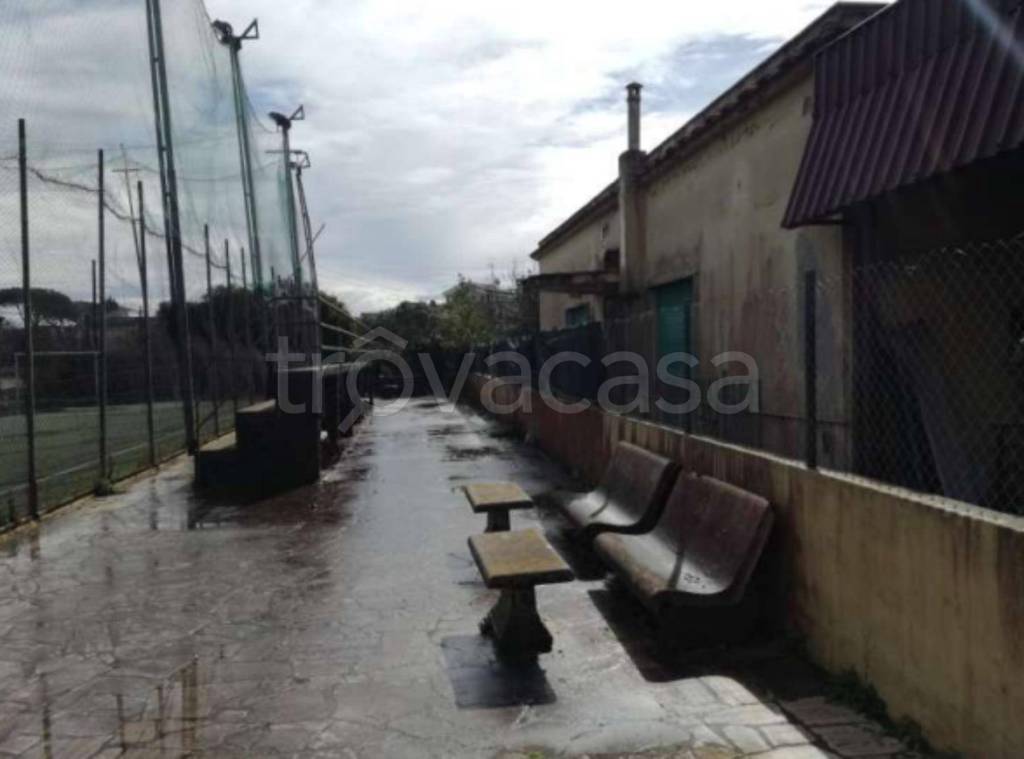 immagine annuncio 8 di 14