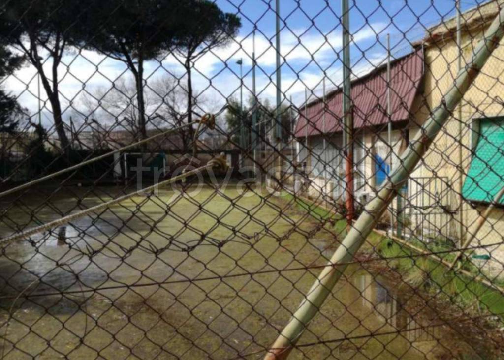 immagine annuncio 9 di 14