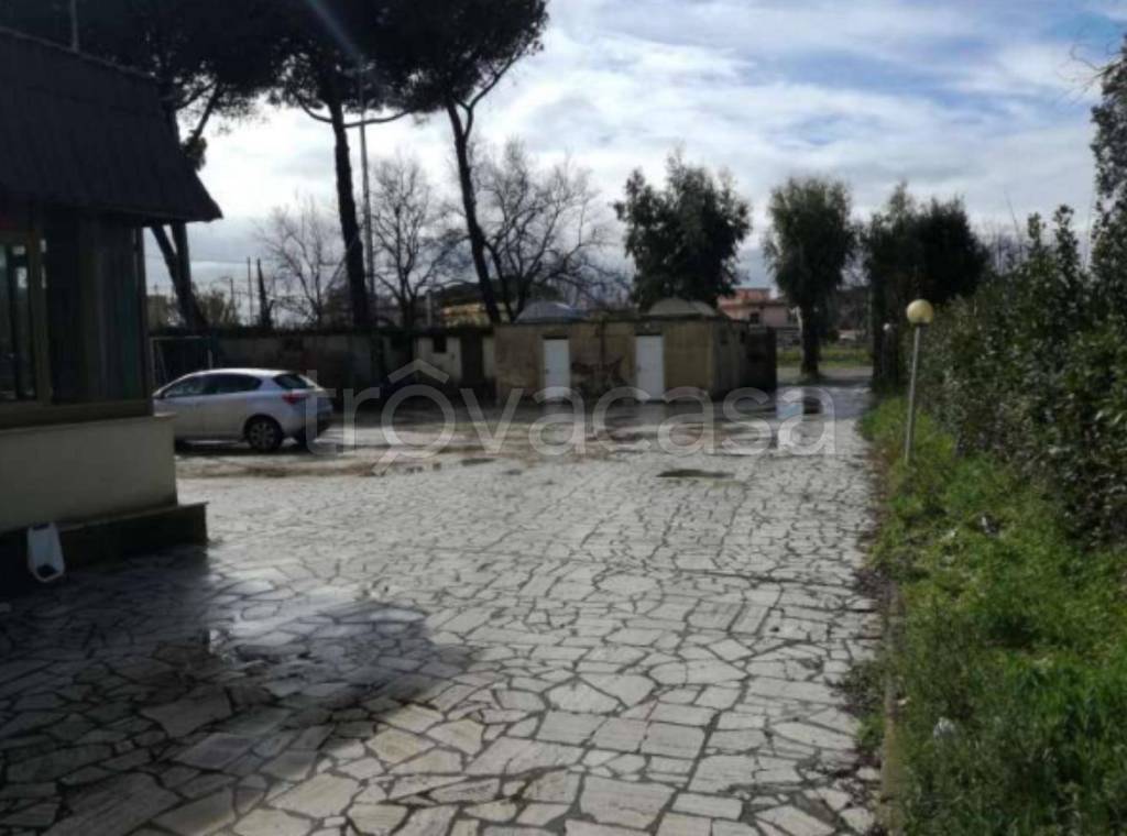 immagine annuncio 11 di 14
