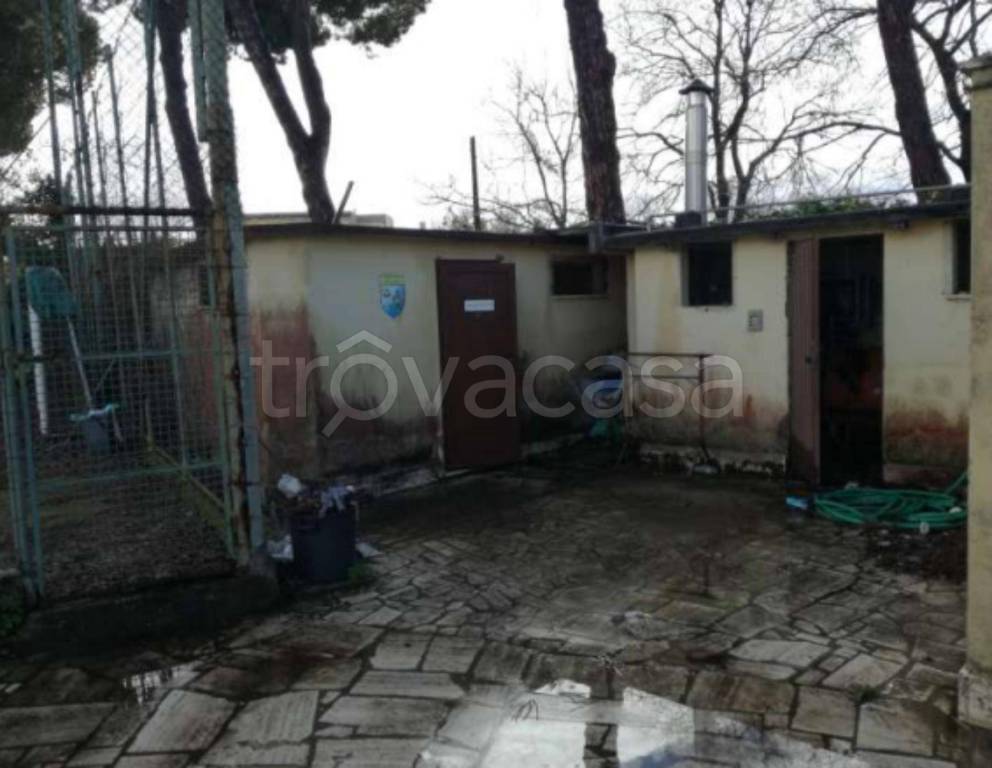 immagine annuncio 12 di 14