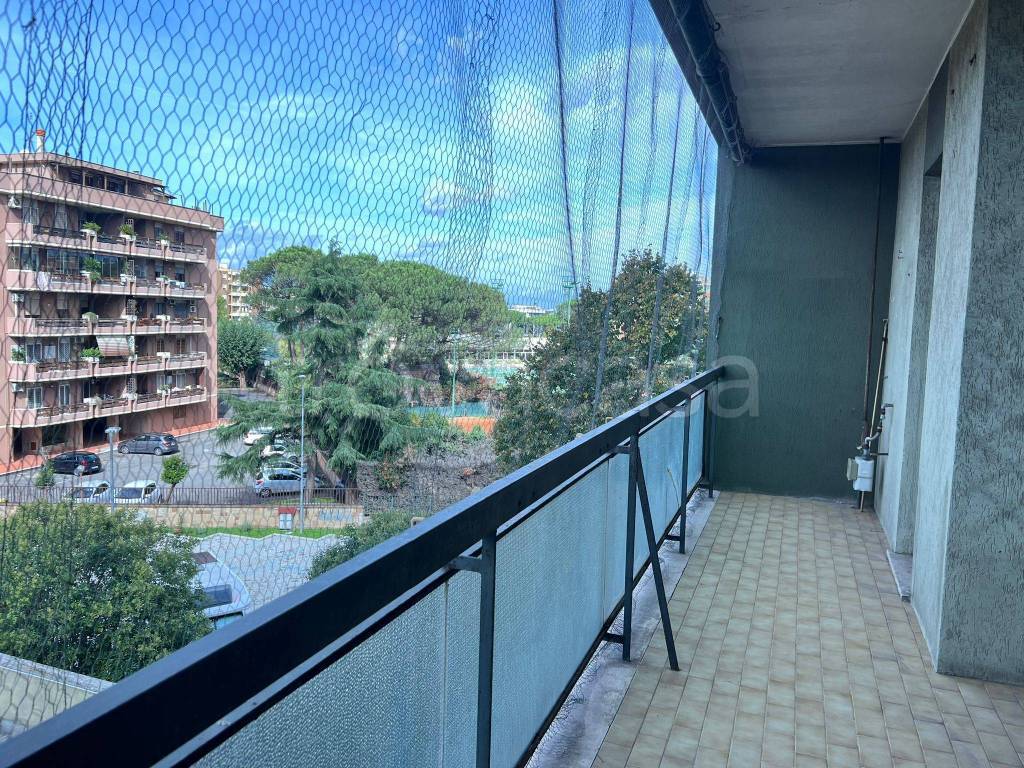immagine annuncio 2 di 14