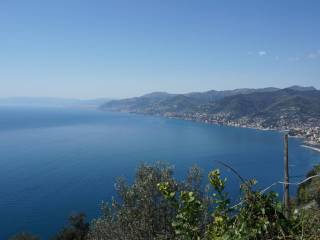 Appartamento in vendita a camogli via franco molfino, 61