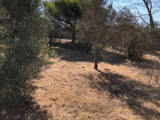 Terreno agricolo in vendita a morciano di leuca via chiavarello s.n.c.