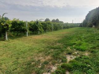 Terreno agricolo in vendita a casalserugo via cristoforo colombo