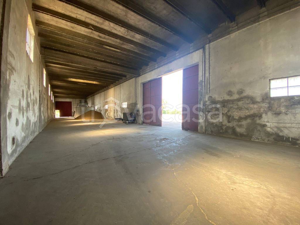 immagine annuncio 2 di 6