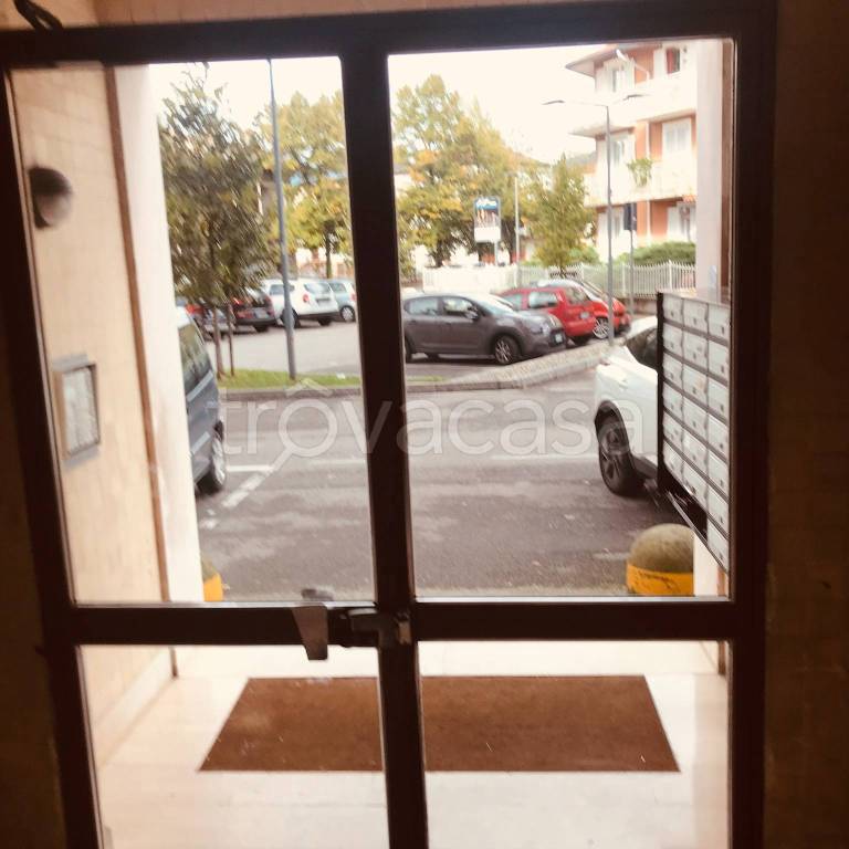 immagine annuncio 5 di 8
