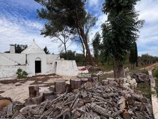 Trullo in vendita a ostuni contrada falgheri