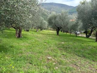 Terreno agricolo in vendita a sora via quagliarino