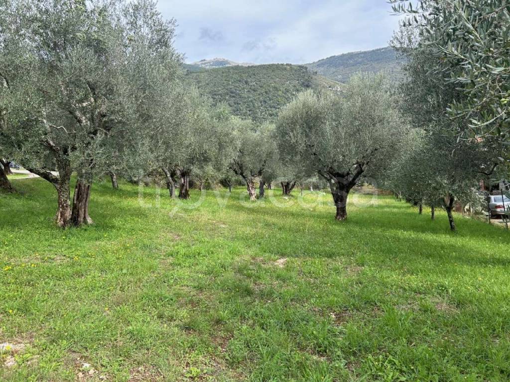 immagine annuncio 2 di 3