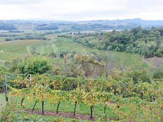 Terreno agricolo in vendita a prepotto frazione craoretto