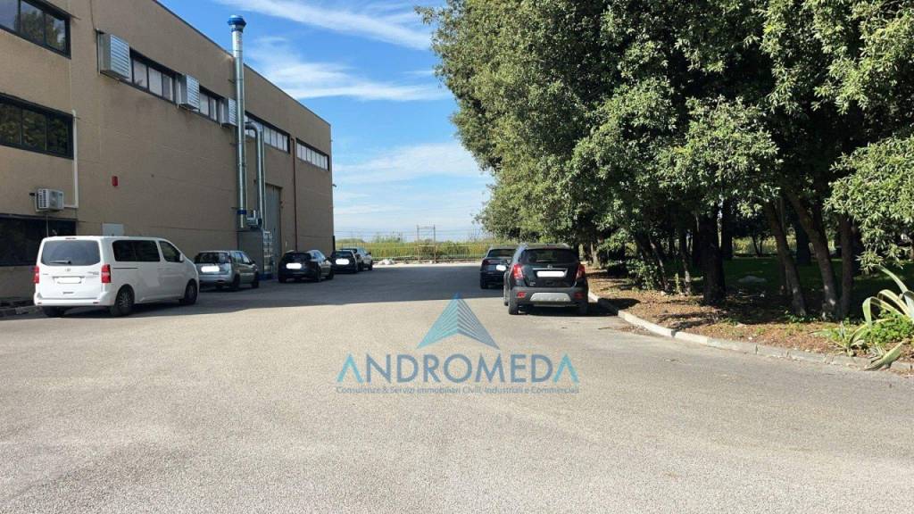 immagine annuncio 2 di 14