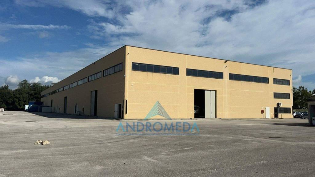 immagine annuncio 3 di 14