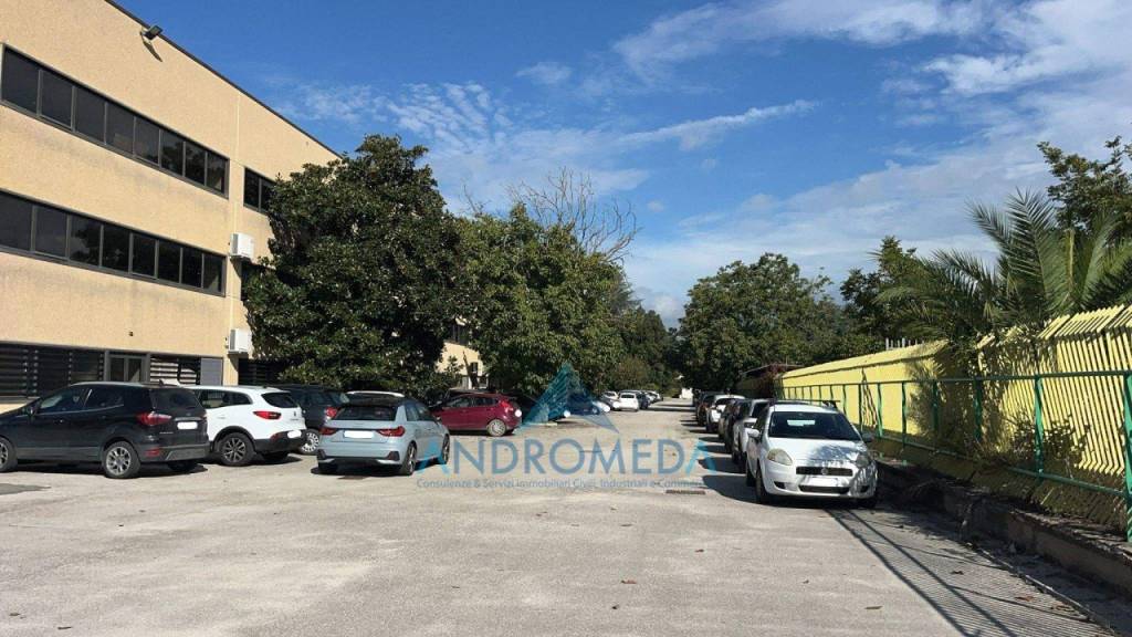 immagine annuncio 4 di 14