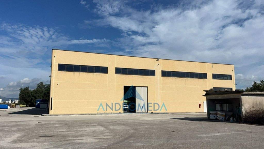 immagine annuncio 7 di 14