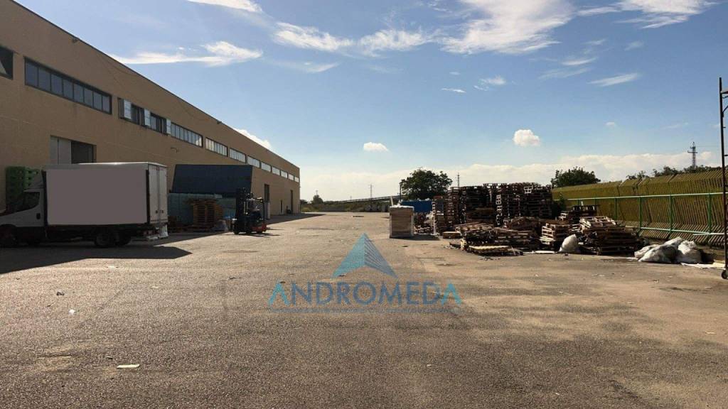 immagine annuncio 9 di 14