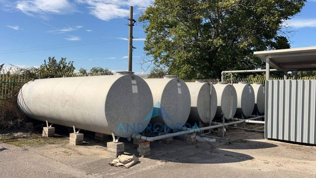 immagine annuncio 12 di 14