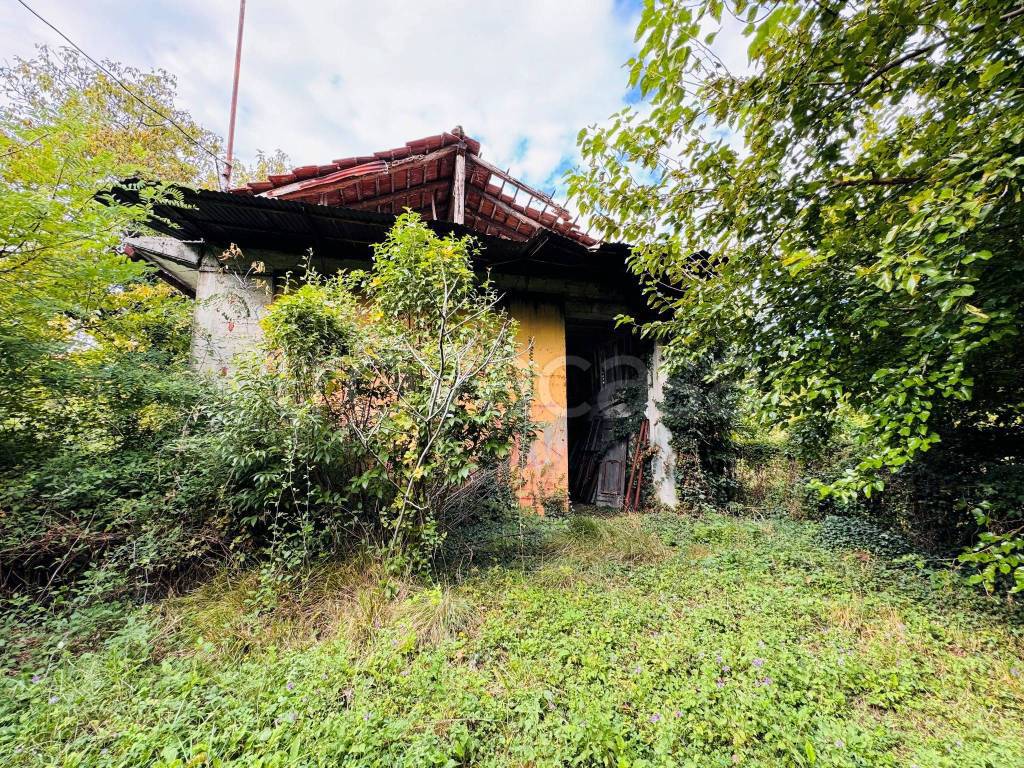 immagine annuncio 3 di 10