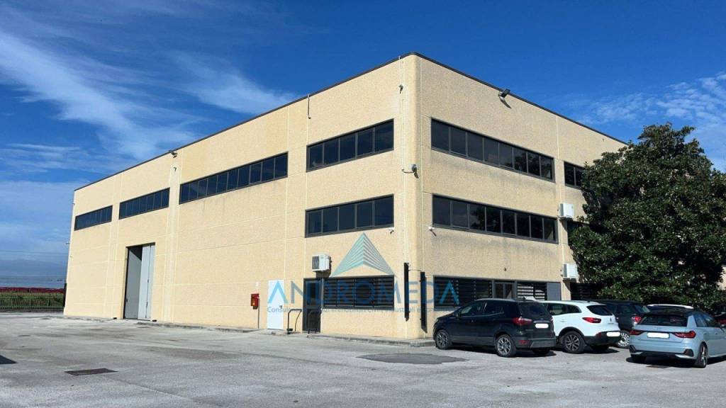 immagine annuncio 2 di 14