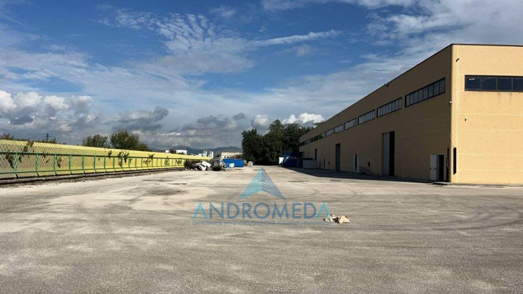 immagine annuncio 4 di 14