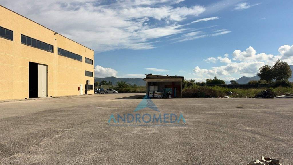 immagine annuncio 5 di 14