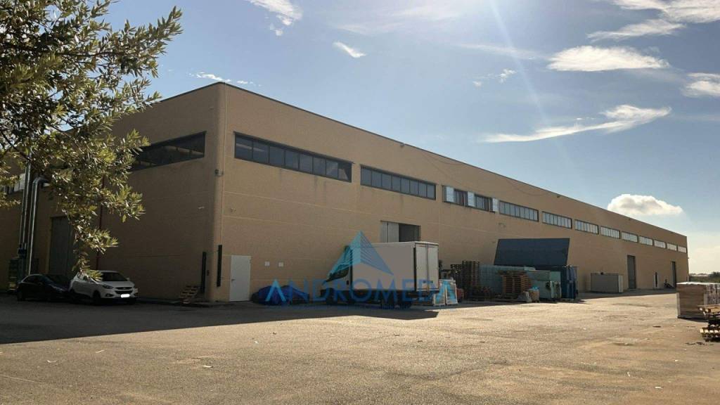 immagine annuncio 7 di 14