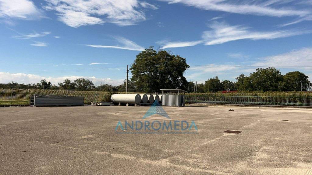 immagine annuncio 12 di 14