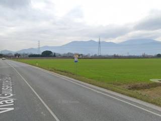 Appartamento in affitto a calcinaia via dei martiri