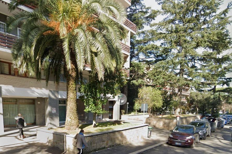 immagine annuncio 3 di 11