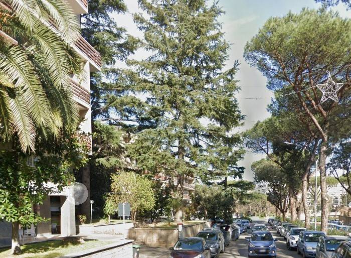 immagine annuncio 7 di 11