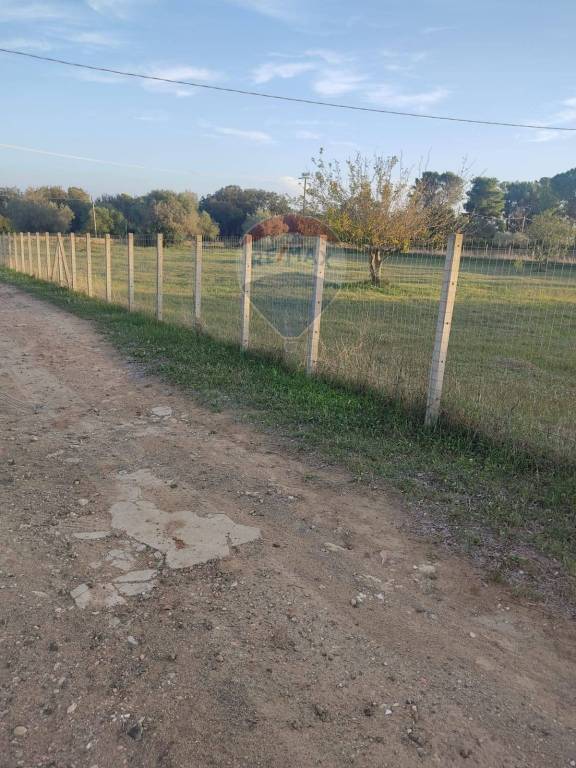 immagine annuncio 8 di 14
