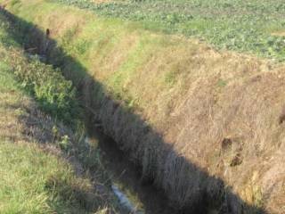 Terreno agricolo in vendita a passignano sul trasimeno località la goga