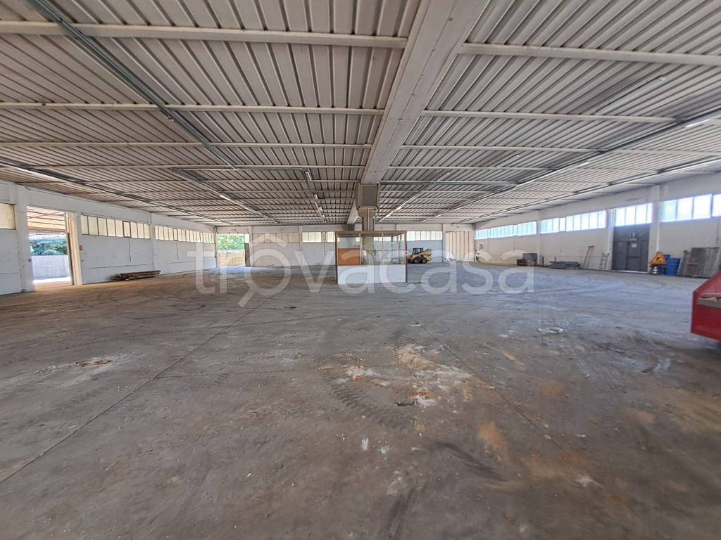 immagine annuncio 1 di 6