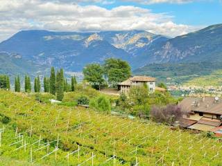 Terreno residenziale in vendita a nogaredo 