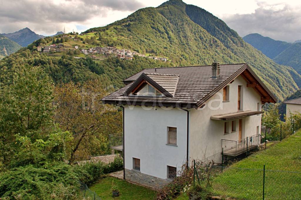 immagine annuncio 6 di 14