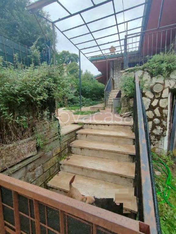 immagine annuncio 9 di 10