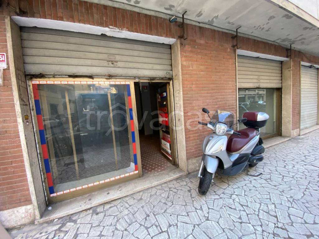 immagine annuncio 7 di 14