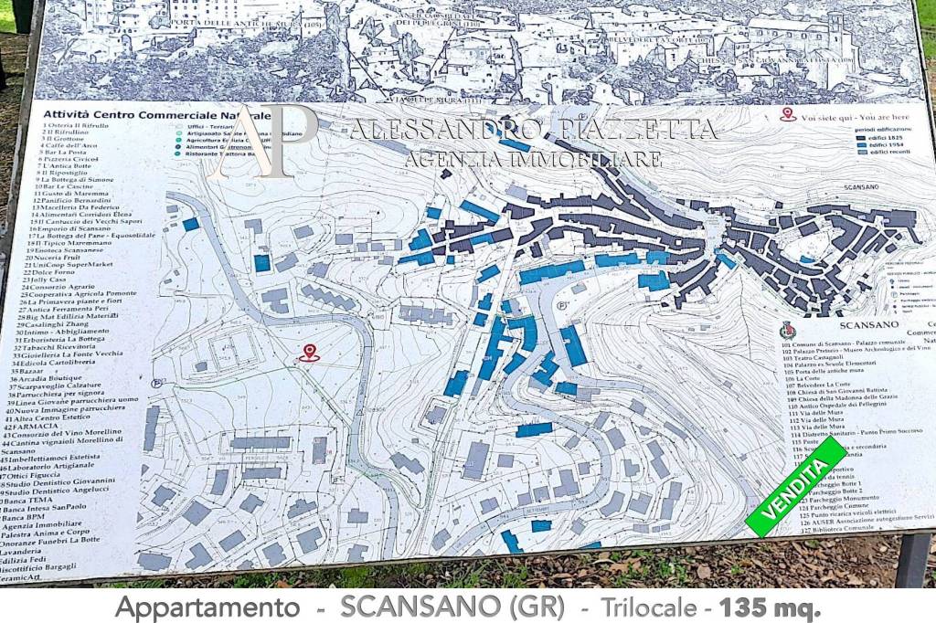 immagine annuncio 11 di 15