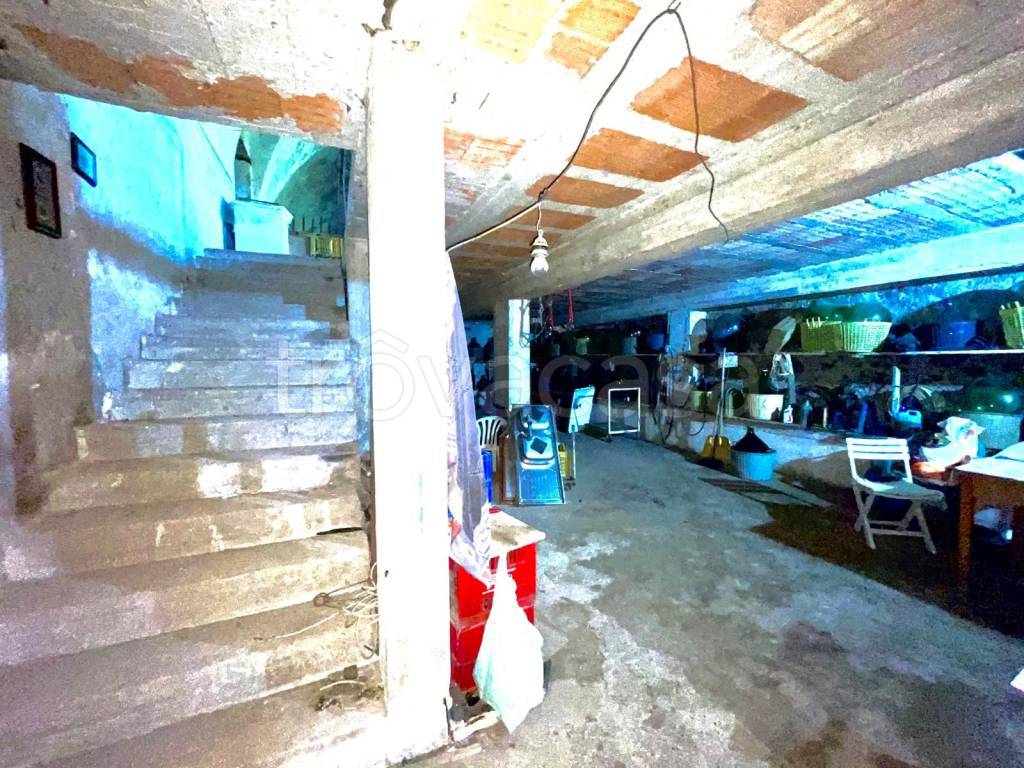 immagine annuncio 3 di 8