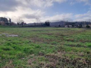 Terreno residenziale in vendita a fauglia via moltrete