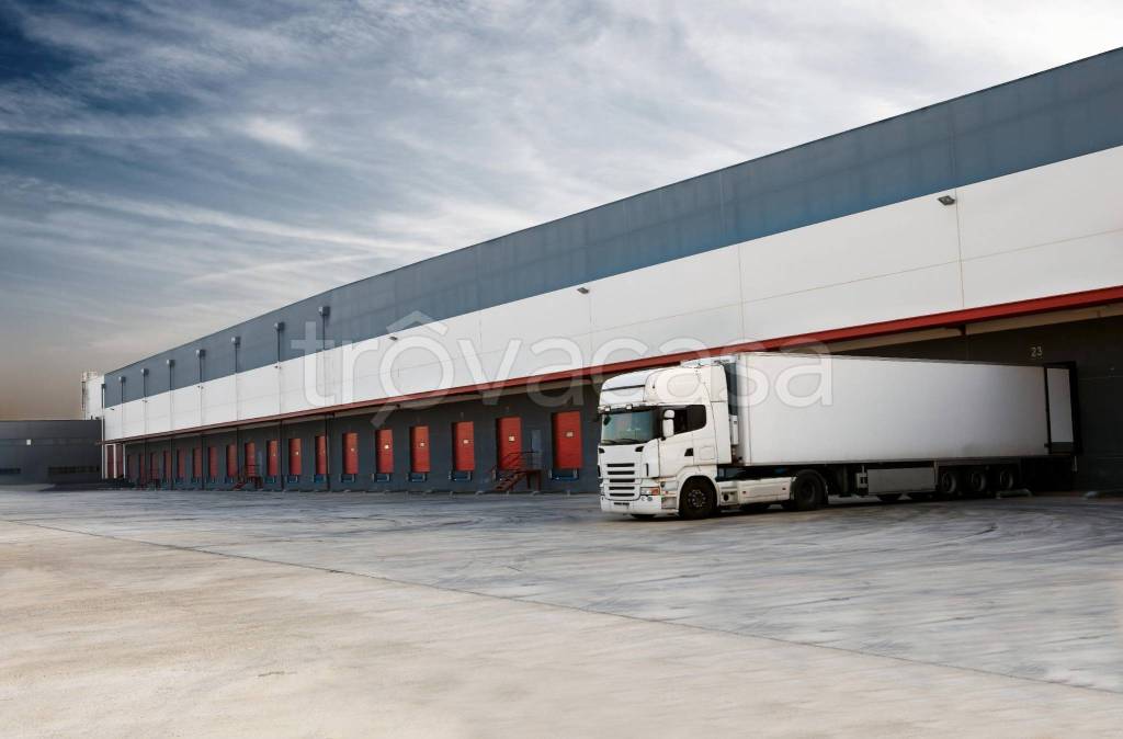 immagine annuncio 11 di 14