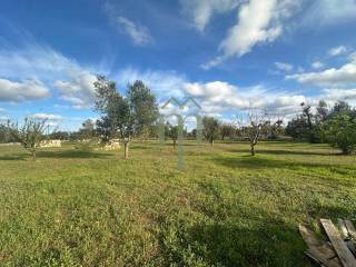 Terreno residenziale in vendita a carovigno via g. cesaria