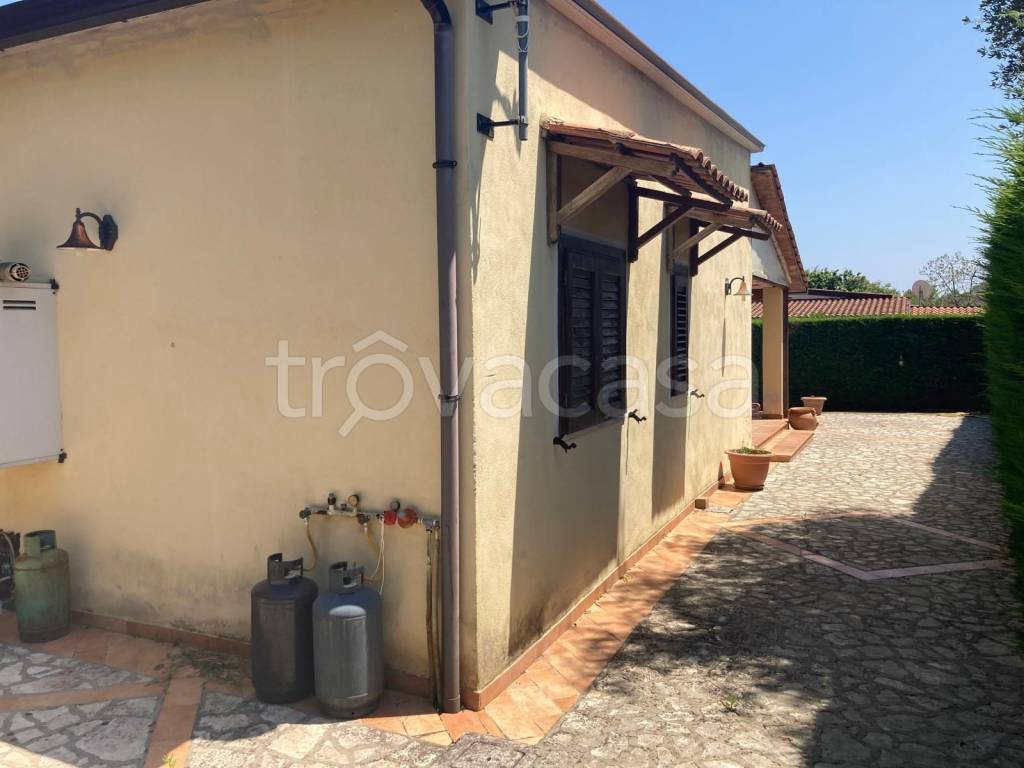 immagine annuncio 2 di 14