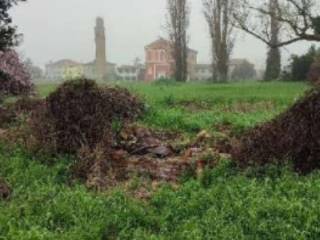 Terreno agricolo in vendita a san martino di venezze via radetta