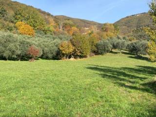 Terreno agricolo in vendita a marostica via busabionda, 18