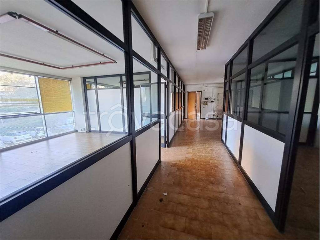 immagine annuncio 4 di 8